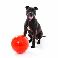 Aussie Dog Staffie Ball - Extra Tough Large Rattle Dog Toy image 0