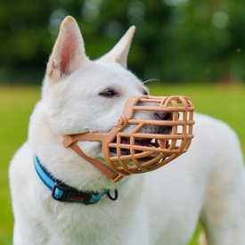 Baskerville Classic Basket Dog Muzzle | Secure, Comfortable & Breathable image 0