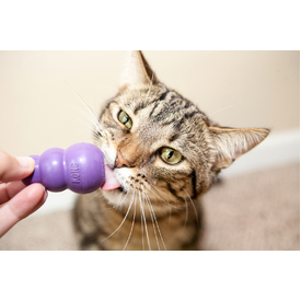 4 x Kitty KONG - Classic Shaped Kitten & Cat Toy and Treat Dispenser image 0