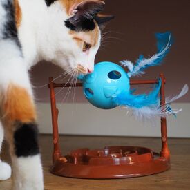 Doc & Phoebe Twirly Bird Snacker - Cat Food Slow Bowl & Game  image 0