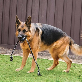 KONG Extreme Tough Dog Toy with Rope - Large image 0