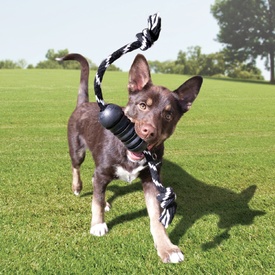 KONG Extreme Dental Tough Dog Toy - Large image 0