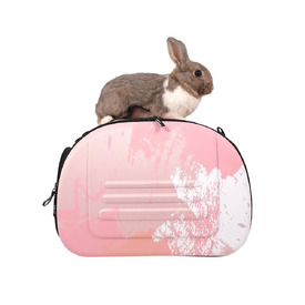 Ibiyaya Collapsible Travelling Pet Carrier for Cats & Dogs - Pink Sunset image 0