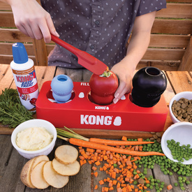 KONG Fill or Freeze Tray for Classic & Extreme KONG Dog Toys image 0