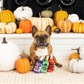 Fringe Studio Plush Squeaker Dog Toy - Pick Your Poison Bottles 3 Minis image 0