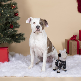 Fringe Studio Christmas Fa La La La Llama Plush Dog Toy image 0