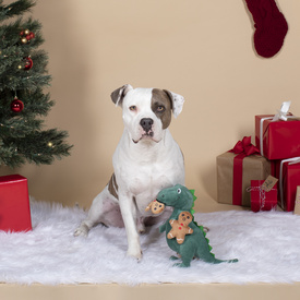 Fringe Studio Christmas Oh Snap! T-Rex and Cookies Plush Squeaker Dog Toy image 0