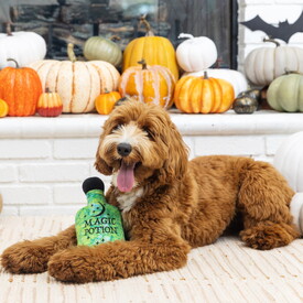 Fringe Studio Plush Bottle Squeaker Dog Toy - Going Through The Potions image 0
