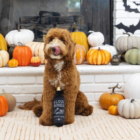 Fringe Studio Plush Squeaker Dog Toy - Slow Bones Bottle Pinot Noir image 0