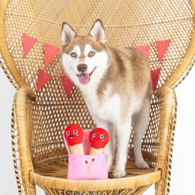 Fringe Studio Plush Squeaker Valentine's Day Dog Toy - Perfect Match image 0