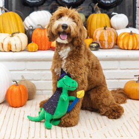 Fringe Studio Halloween Plush Squeaker Dog Toy - Spell-A-Saurus Dino Witch image 0