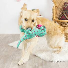 Fringe Studio Plush Squeaker Valentine's Day Dog Toy - XO Rex image 0