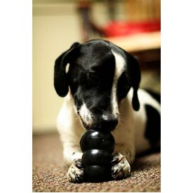 3 x KONG Classic Extreme Black Interactive Dog Toy - for Tough Dogs! - Large image 0