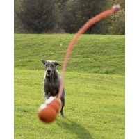 KONG Aqua Classic Shape Fetch Dog Toy on a Rope image 0