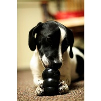 KONG Classic Extreme Black Interactive Dog Toy - for Tough Dogs! image 0