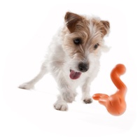 West Paw Tizzi Treat & Tug Toy for Tough Dogs image 0