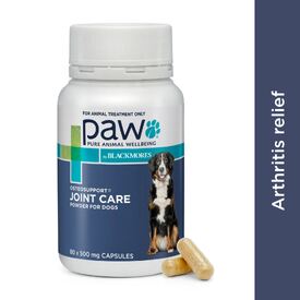 PAW Osteosupport Joint Support Powder for Dogs - 80/150 Capsules image 0