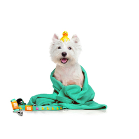 Max & Molly Bandana for Cats & Dogs - Ducklings image 0
