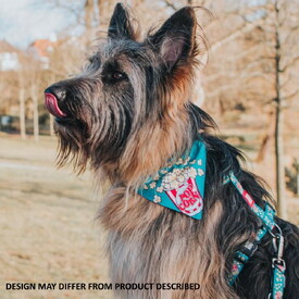 Max & Molly Bandana for Cats & Dogs - Magical image 0