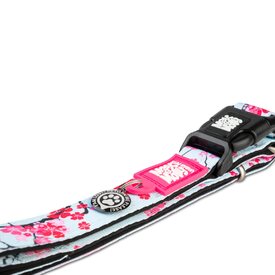 Max & Molly Smart ID Dog Collar - Cherry Bloom image 0
