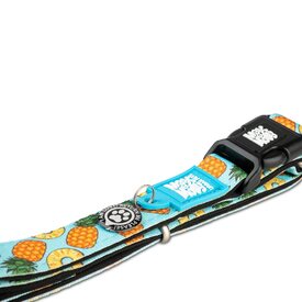 Max & Molly Smart ID Dog Collar - Sweet Pineapple image 0