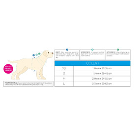 Max & Molly Smart ID Dog Collar - Watermelon image 0