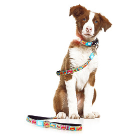 Max & Molly Dog Leash - Comic - Large image 0