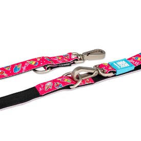 Max & Molly Dog Leash - Magical image 0