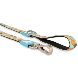 Max & Molly Dog Leash - Sweet Pineapple image 0