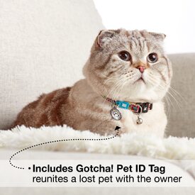 Max & Molly Smart ID Cat Collar - Margarite image 0