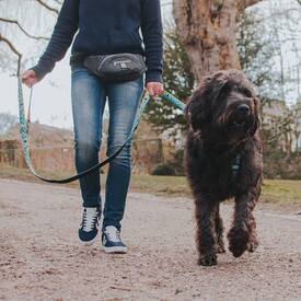 Max & Molly Waist Walking Bum Bag - Pink image 0
