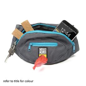 Max & Molly Waist Walking Bum Bag - Sky Blue image 0