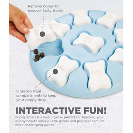 Nina Ottosson Smart Interactive Puzzle Dog Toy for Puppies - Level 1 image 0