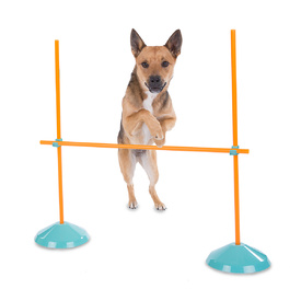 Outward Hound ZipZoom Indoor Agility Kit Dog Game image 0