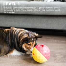 Nina Ottosson Treat Tumble Ball Toy for Cat or Dog - Small (Blue/Yellow) image 0