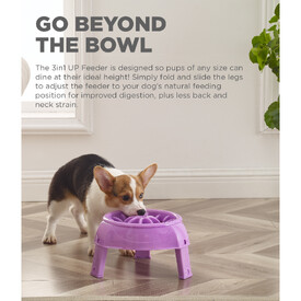 Outward Hound 3-in-1 Up Height Adjustable Slow Feeder Dog Bowl - Purple image 0
