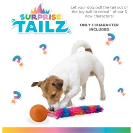 Outward Hound 2-in-1 Surprize Tailz Ball & Plush Toy - Assorted Designs image 0