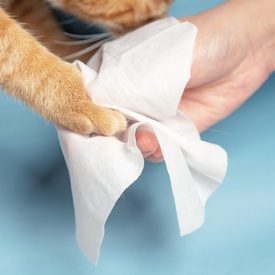 PIDAN Unscented Non-Toxic Pet Wet Wipes - 80 wipes image 0