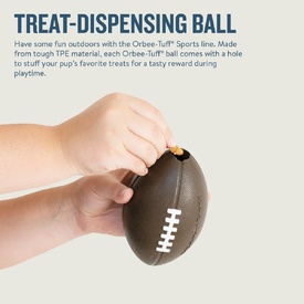 Planet Dog Durable Treat Dispensing & Fetch Dog Toy - Football image 0