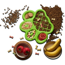 PAW Slow Feeder Wet & Dry Food Bowl for Cats & Dogs image 0