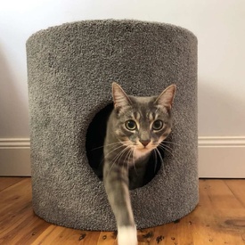 BOSSCAT Franco Premium Cat Scratcher Cubbie with Claw-Care Carpet image 0