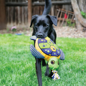 KONG Aloha Turtle Canvas Squeaker Tug Dog Toy - Small/Medium image 0