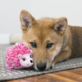 KONG Comfort Hedgehug Puppy Plush Squeaker Dog Toy - Assorted Colours image 0