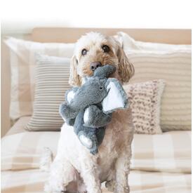 3 x KONG Comfort Kiddos Securty Elephant Plush Dog Toy - Small image 0