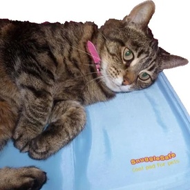 Snugglesafe Non-Toxic Instant Cooling Mat for Pets - No freezing Required image 0