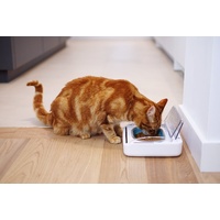 Surefeed Motion-Activated Battery Operated Sealed Pet Food Bowl image 0