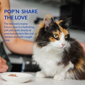 Inaba Cat Churu Pop'N Serve Treat or Meal Topper Tuna Recipe 8 x 35g Cups image 0