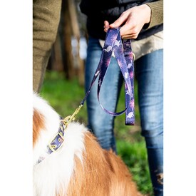Anipal Billie The Bilby Brass & 100% Recycled  Dog Leash image 0