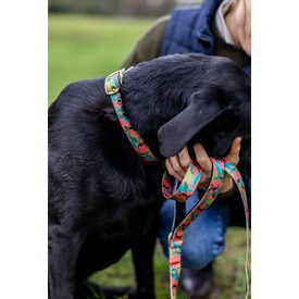 Anipal Clancy The Black Cockatoo Brass & 100% Recycled Dog Leash image 0