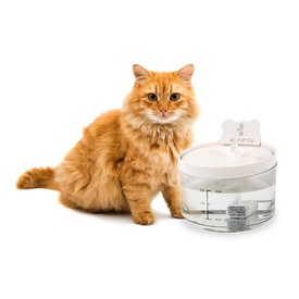 All Fur You Auto Sensor Water Fountain USB | Smart Pet Hydration image 0